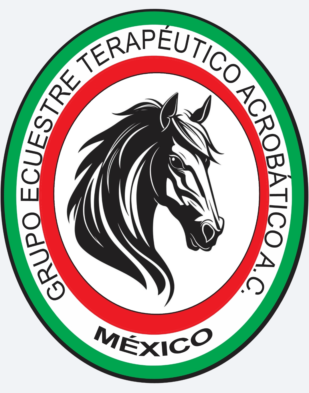 Grupo Ecuestre Terapéutico Acrobático A.C.